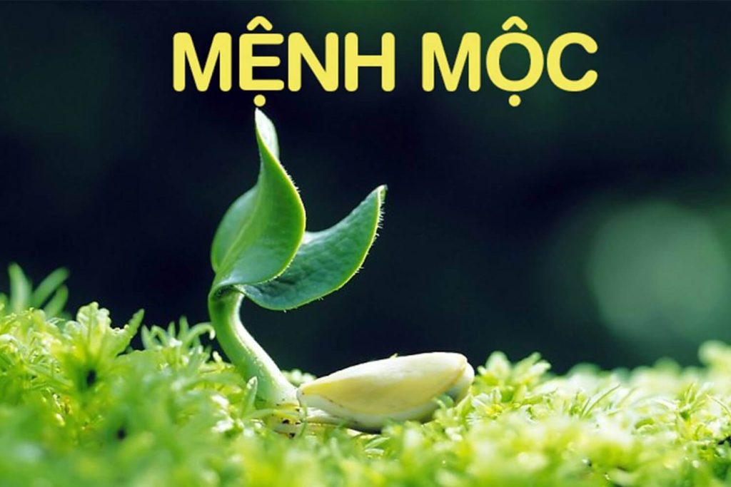 Nam nữ sinh năm 1988 thuộc mệnh Mộc