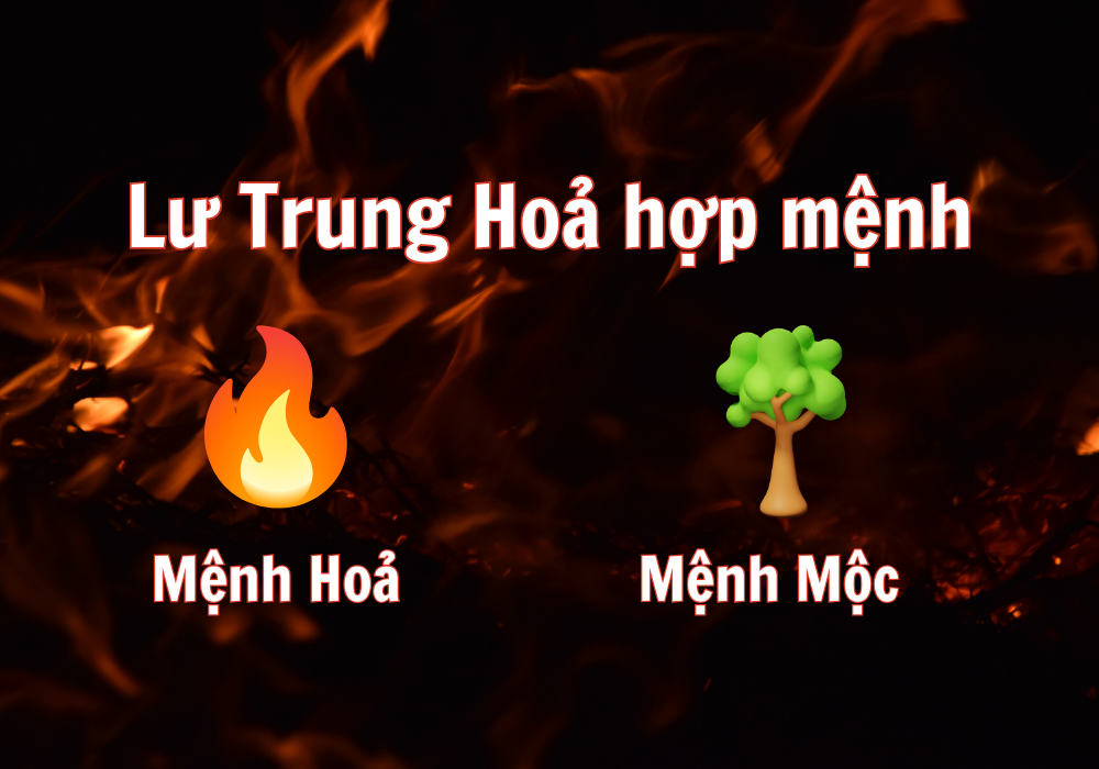 Mệnh Lư Trung Hỏa hợp mệnh Mộc theo quy luật ngũ hành tương sinh