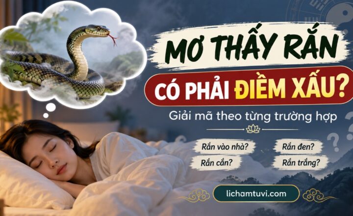 Mơ Thấy Rắn Có Phải Điềm Xấu